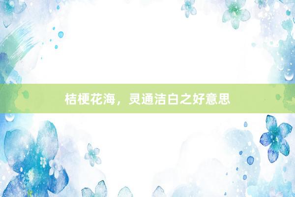 桔梗花海,灵通洁白之好意思